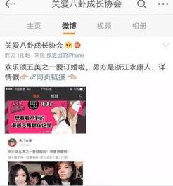 吃瓜娱乐圈小说合集在线阅读,吃瓜小说合集，揭秘明星幕后故事