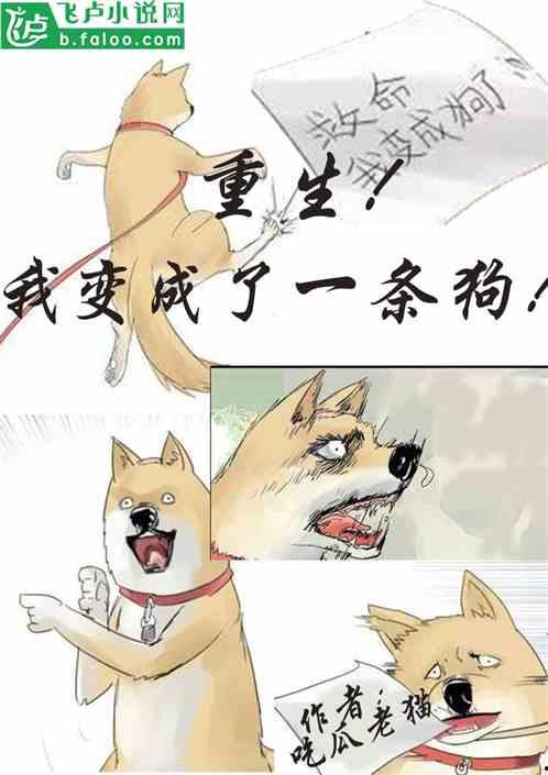 吃瓜娱乐原创小说,吃瓜娱乐原创小说背后的故事